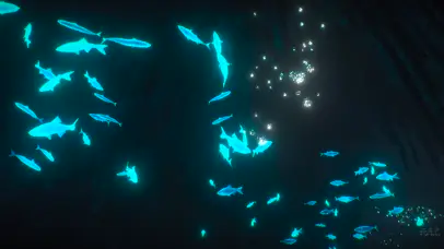 梦幻海底鱼群