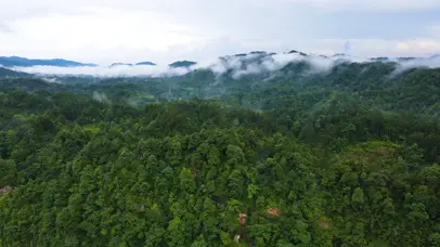 大自然的美系列01