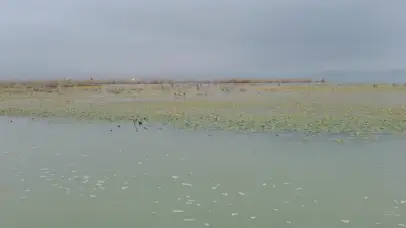 青山绿水