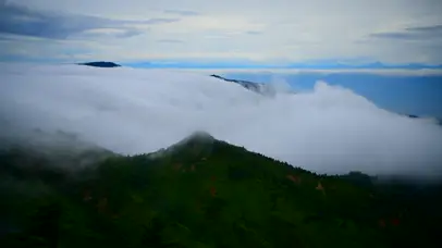 山雾