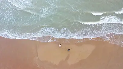 和狗狗海边散步