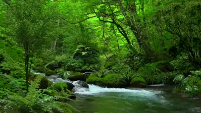 绿林山涧河流
