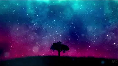星河下的树