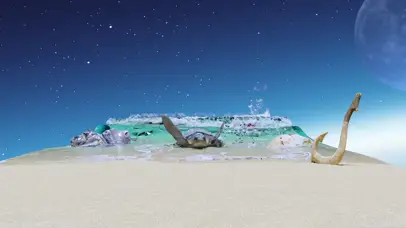 创意海滩龟~【清版活力版】