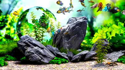 4k假山绿色护眼水族箱