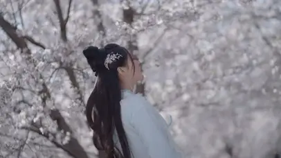 樱花下的错位时空