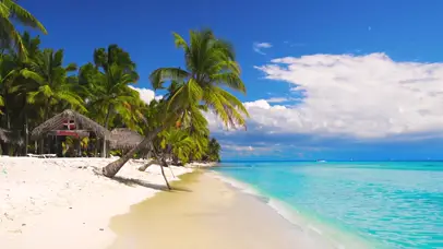 4K蓝天椰树大海