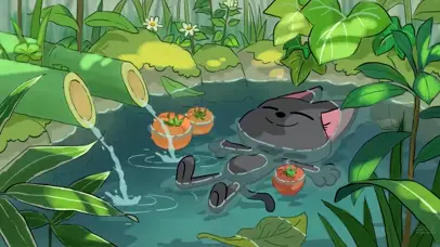 夏季山泉洗澡的猫