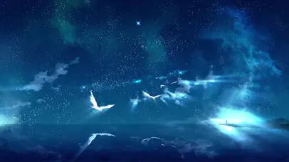 星空海上烟花