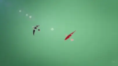 节气谷雨荷叶绿色