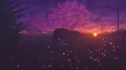 樱花街道