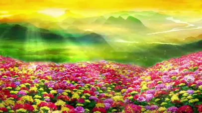 金光灿灿映山红