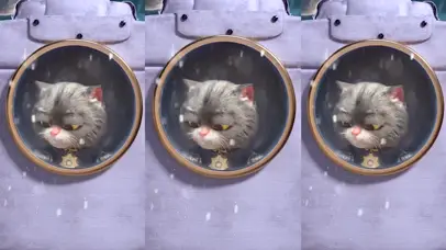 斑布猫-点燃木星