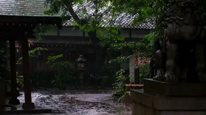 奥泽神社的雨