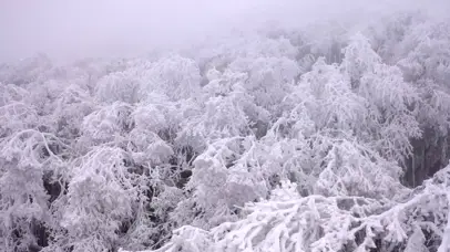 4K冬天山顶雾凇风景