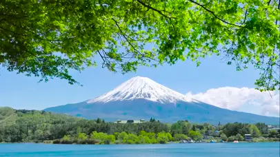 透过绿叶看雪山