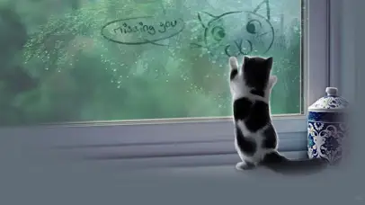 4k窗户猫