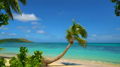 4k椰树沙滩