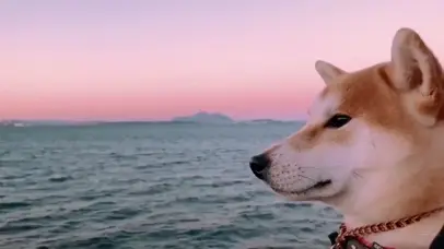 有心事的单身汪