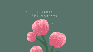 郁金香的郁闷
