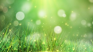 唯美清新晕斑草地清新动态