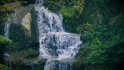 丛林溪流岩石流水动态
