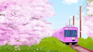 樱花小火车