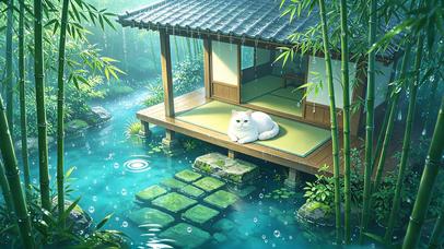 雨落竹居，白猫闲卧