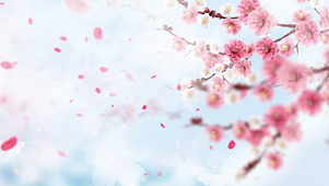 中国风梅花动态唯美清新