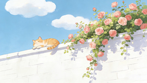 喵喵的惬意午后