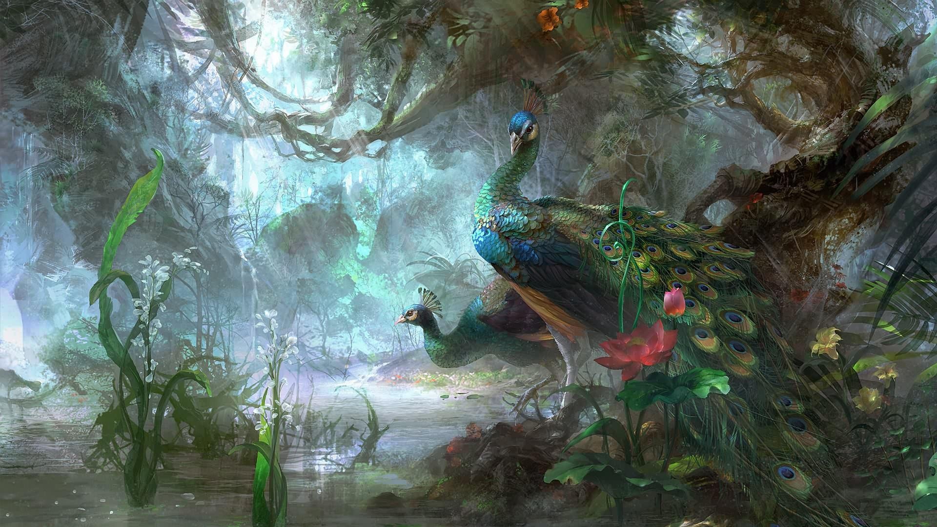 沼泽中的孔雀