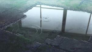 雨后的小水坑