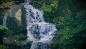 丛林溪流岩石流水动态