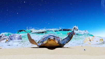 创意海滩龟~【清版活力版】