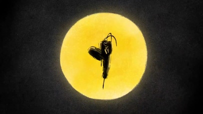 远东电影节开幕2019