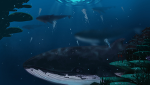 海里的鲸鱼