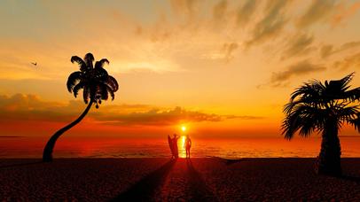 陪你看最美的夕阳（双端）