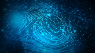 4K科技手指指纹