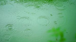 夏日清凉雨滴