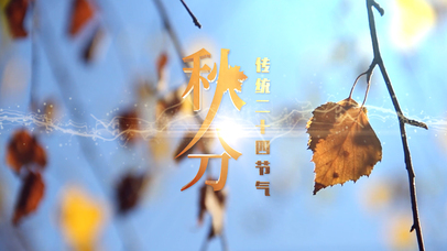 阳光温暖，落叶秋分