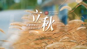 唯美实拍背景立秋风景秋天