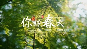 自然植物实拍结合文字