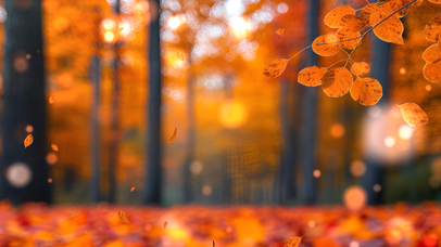 唯美秋季光晕粒子光斑