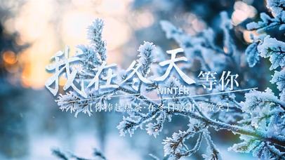 唯美冬日风雪景下雪