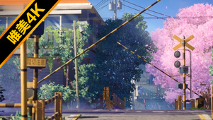 动漫日式樱花～（超唯美清新版）