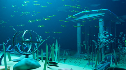 在蓝色海底遨游的鱼群