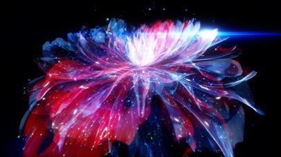 中国风全息牡丹