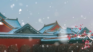 白雪覆故宫，景致韵非凡