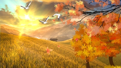 秋日麦田金，枫叶映暖阳