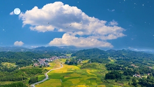 田园风光秀，航拍醉人心